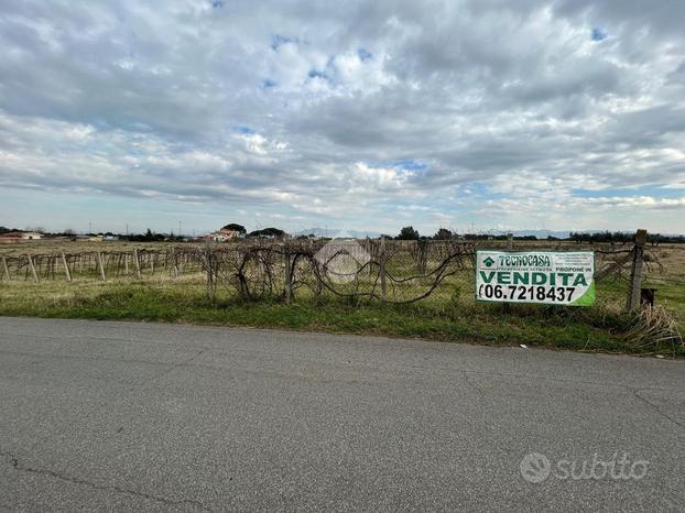 TER. AGRICOLO A ROMA