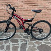 Bicicletta CASADEI DA RAGAZZO