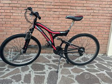 Bicicletta CASADEI DA RAGAZZO