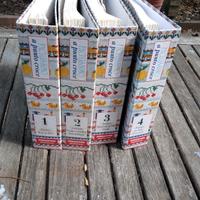 Libro facilissimo punto croce