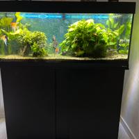 Acquario  240 lt