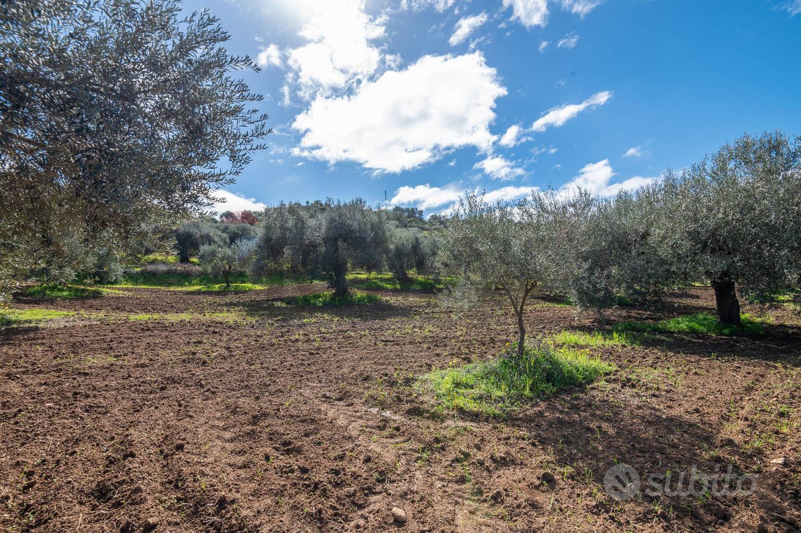 Terreno - Caltagirone - Vista 2