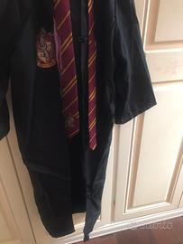 Costume carnevale ,cosplay Harry Potter grifondoro