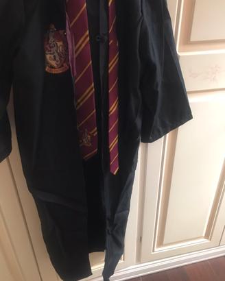 Costume carnevale ,cosplay Harry Potter grifondoro