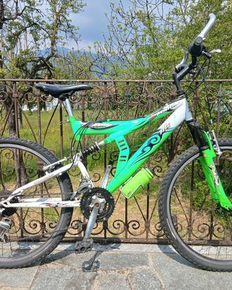 bicicletta 
