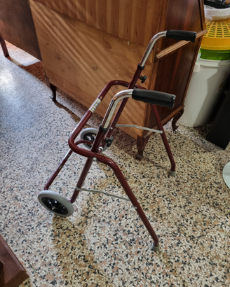 Deambulatore rollator