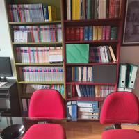 libreria a due colori