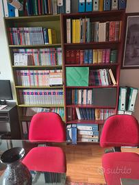 libreria a due colori