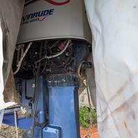 Evinrude 150cv