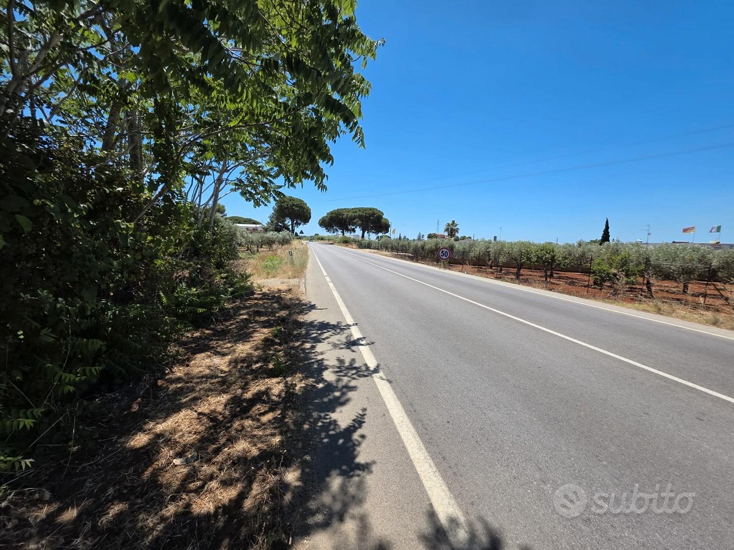 Castelvetrano terreno 3000 mq ss 115 dir selinunte - Vista 2
