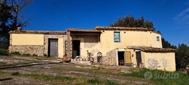 Rustico a Rosignano Marittimo