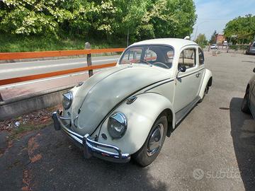 Volkswagen Maggiolino d'Epoca