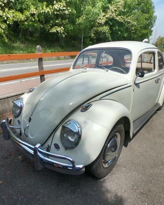 Volkswagen Maggiolino d'Epoca