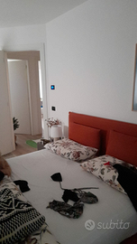 "Dove la comodità incontra lo stile moderno