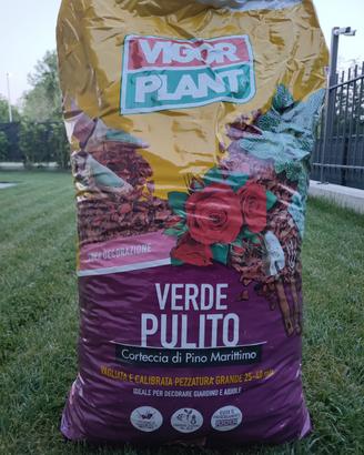 Vigorplant corteccia pino marittimo