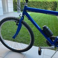 bicicletta