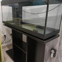 Acquario con Tavolino