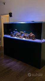 Acquario 1000 litri completo 