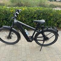 E bike