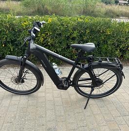 E bike