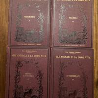 Gli animali e la loro vita - SANSONI 1929-1930