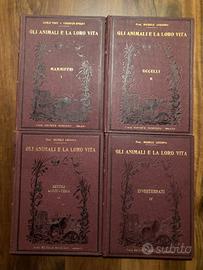 Gli animali e la loro vita - SANSONI 1929-1930