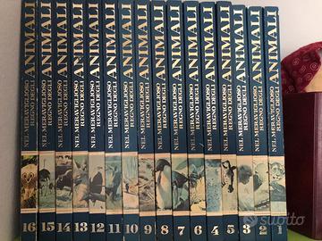 Enciclopedia”Nel meraviglioso regno degli animali”