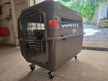 Trasportino omologato IATA per cane