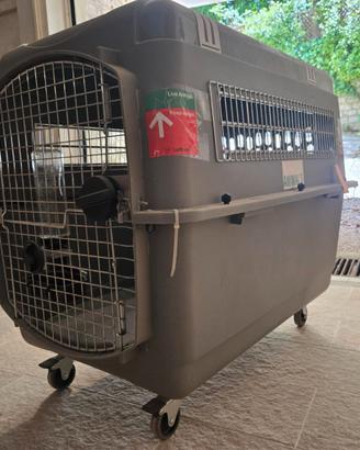 Trasportino omologato IATA per cane
