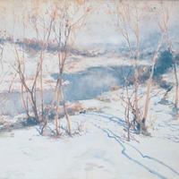 Quadro Paolo Sala, Nevicata