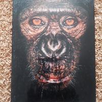 Libro James e altri simili