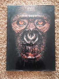 Libro James e altri simili