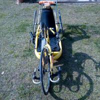 handbike shark gialla usata 