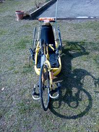 handbike shark gialla usata 