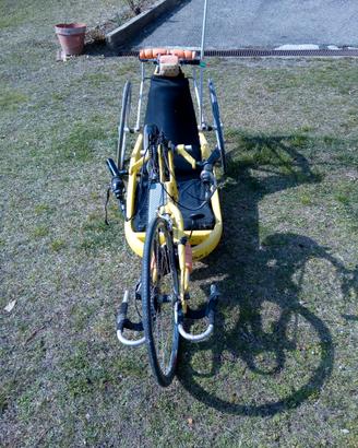 handbike shark gialla usata 