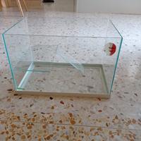 Acquario per tartaruga