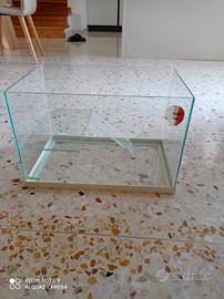 Acquario per tartaruga