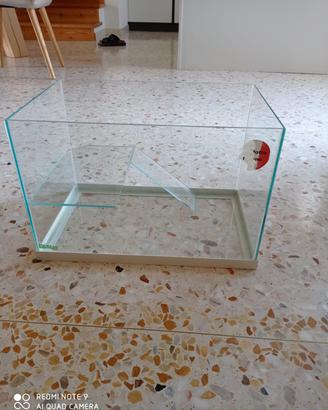 Acquario per tartaruga