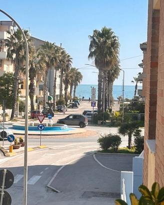 Pura vida mare porto recanati