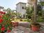 Immagine 10