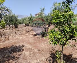 Terreno - Carini