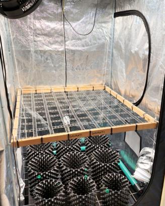 Grow box coltivazione indoor a LED [KIT COMPLETO]