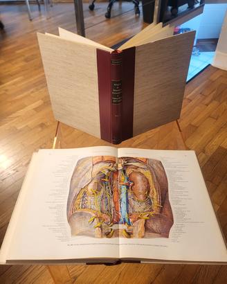 Pernkopf - Atlante di Anatomia + libri omaggio