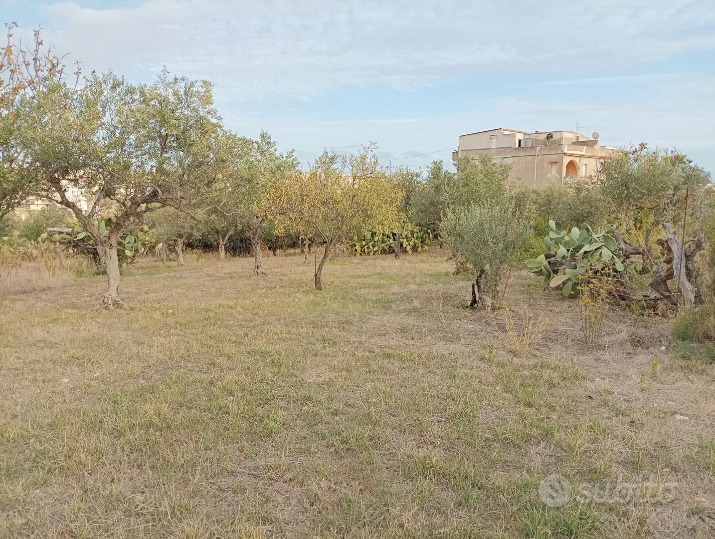 Terreno ad uso sportivo 1300 mq campetti - Vista 4