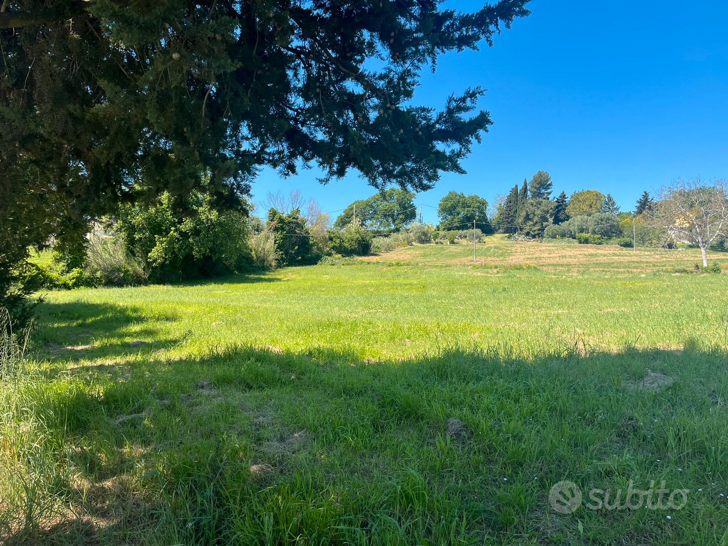 Terreno agricolo - Vista 2