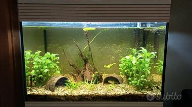 Askoll pure led
