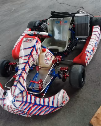 kart 125 rotax dd2