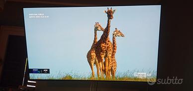 TV PANASONIC 65" TX-65GZ960E
