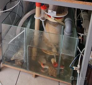 Schiumatoio bubble magus curve 9