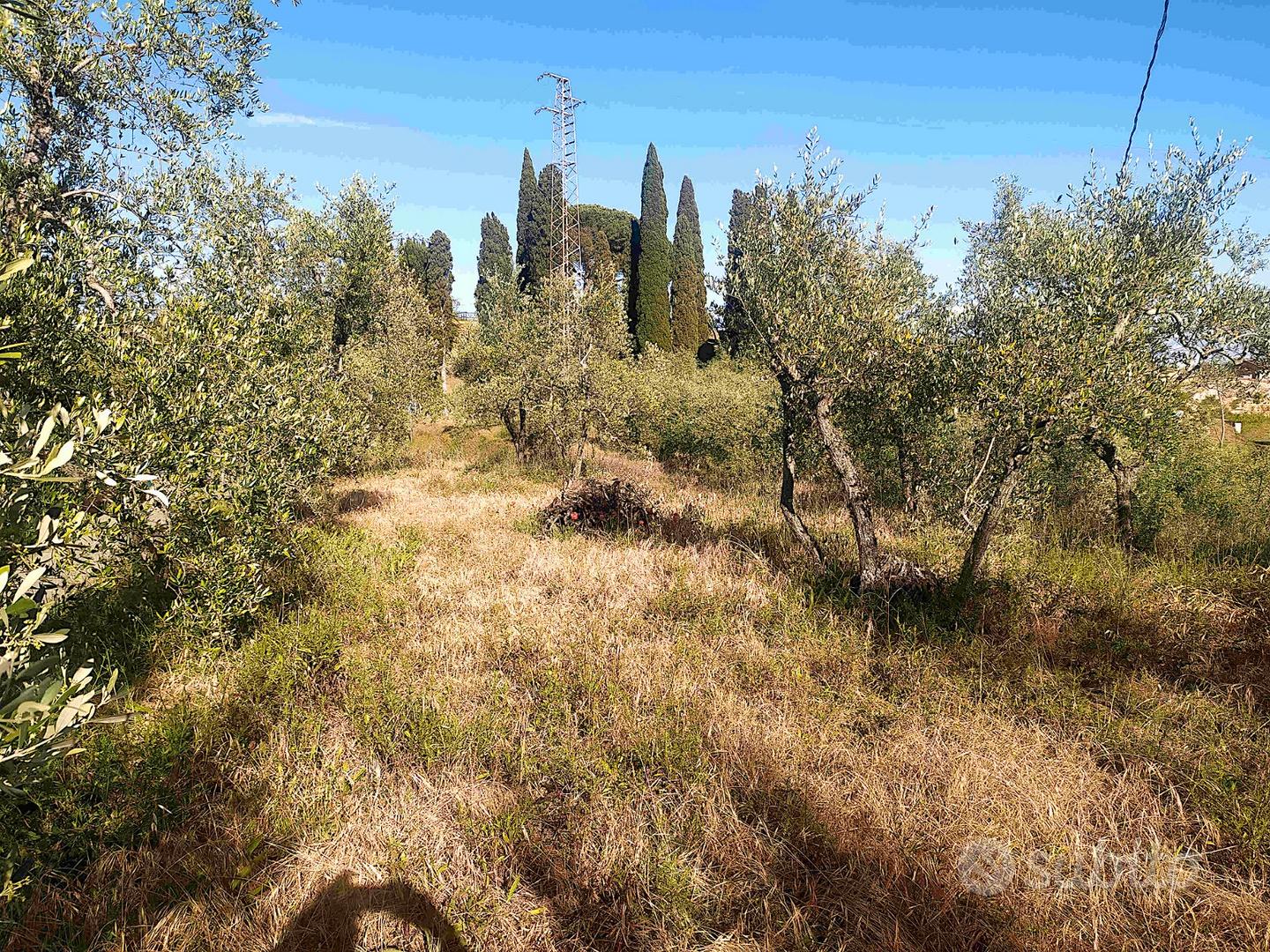 TERRENO EDIFICABILE mq.900 -con OLIVETA a PALAIA - Vista 2